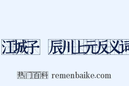 江城子·辰川上元反义词是什么意思的图片